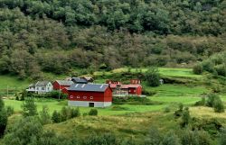 Tipiche fattorie norvegesi lungo la Flamsbana, ...