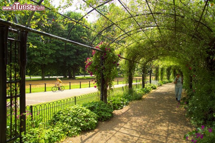 Immagine Il verde dei Kensington Gardens a Londra