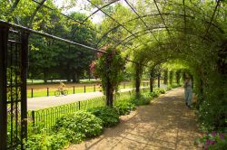 Il verde dei Kensington Gardens a Londra