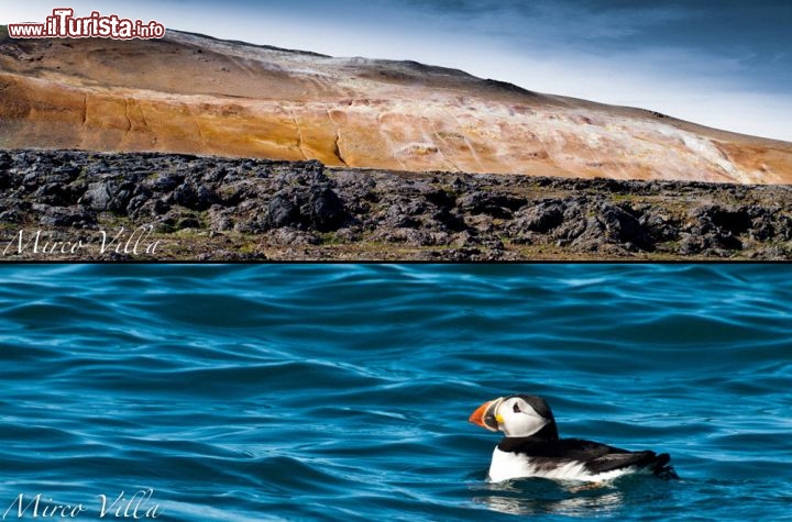 Namafjall e pulcinella di mare, Islanda - I colori intensi delle rocce e una fumarola ci indica che nella foto in alto ci troviamo in una zona geotermale dell'islanda. Siamo a Namafjall, nel nord dell'isola, non distante dal vulcano Krafla, e grazie alle temperature del sottosuolo. l'acqua viene trasformata in vapore, che poi fuoriuscendo dal sotto suolo deposita croste di minerali. E' facile immaginare che questi ambienti siano ostili alla vita, ma non è così sulle coste: nella foto in basso ecco una simpatica Pulcinella di Mare, il cui nome scientifico sarebbe Fratercula arctica. Le coste dell'Islanda danno grandi opportunità di vedere questo bellissimo e particolare uccello.

32 pagine, 400 immagini di Mirco Villa (Fotografo QEP) - Acquistala sull'Apple Store