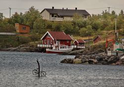 Bicicletta abbandonata alle Lofoten - Tra le ...