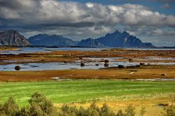 Isola di Vestvagoy Lofoten con bassa Marea. Durante ...