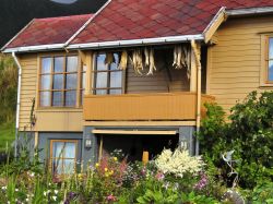 Tipica casa alle Lofoten, con  fiori e merluzzi ...