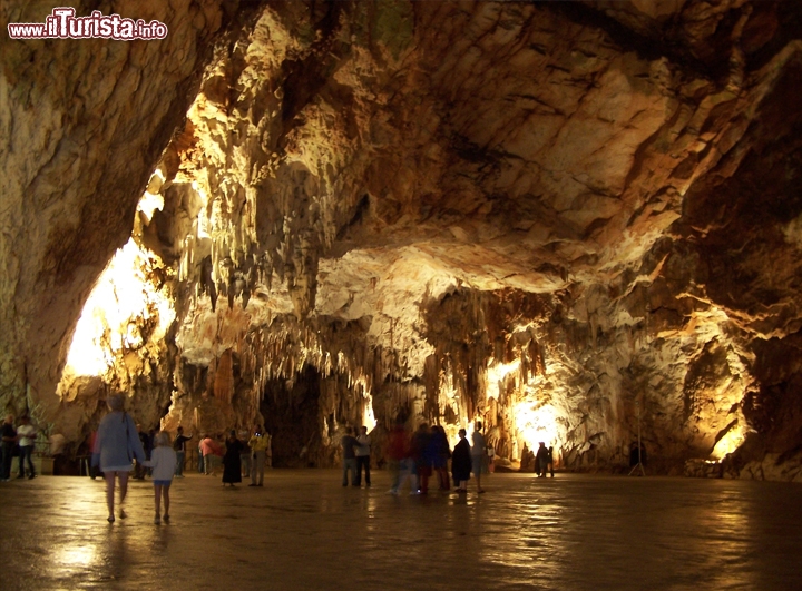 Grotte Postumia (Postojna), Slovenia - Questo grande complesso ipogeo, costituito da più di 21 km di gallerie e caverne, fu usato dall'uomo fin dagli albori della storia. Alcune scritte ritrovate indicano che le grotte furono visitate anche durante il medioevo, mentre la loro esplorazione sistematica iniziò a cavallo del 18° e 19° secolo. Fu tale il successo di queste esplorazioni che nel 1872 fu creata una linea ferroviaria dentro le grotte, che da allora costitutisce una attrazzione a se stante: prendere il trenino delle Grotte di postumia è una emozione fortissima, è come trovarsi in una montagna russa, dove ad ogni curva si schivano stalattiti, stalagmiti in un emozionate corsa tra le rocce. Notevole anche la sala dei concerti, una enorme cavità dall'acuatica perfetta e che può ospitare migliaia di spettatori.
Foto cortesia: geniodimarica
