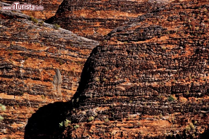 Dettagli strati dei Bungle Bungle Western Australia. 