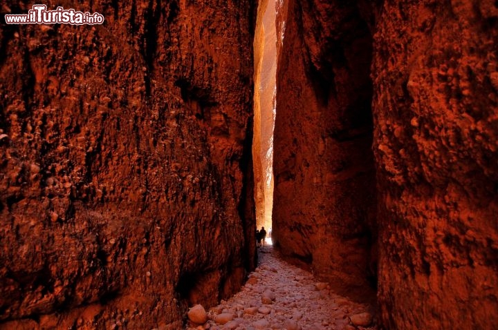 La gola di Echidna chasm le gole di Purnululu. Avvolti da una luce tenue dalla tonalità rossa, è una vera emozione camminare tra queste ripidi pareti, che in molti punti riuscite a toccare con entrambi le mani, vista l'esigua distanza che le separa.