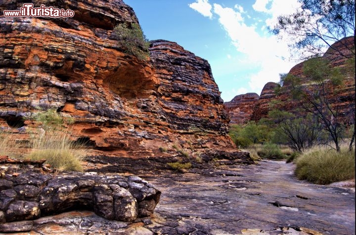 Il sentiero di Piccanilly Creek Bungle Bungle. Lungo il percorso si respira una vera atmosfera di luogo antico. Quando si cammina bisogna fare attenzione ai serpenti, numerosi nel nord dell'Australia e con alcune specie tra le più velenose del mondo.
