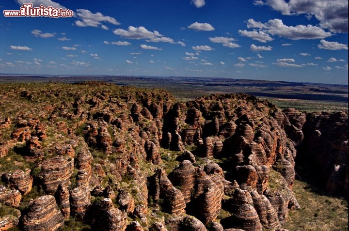 Kimberely: in volo sul Parco Nazionale Purnululu. Dall'alto la vista dei Bungle Bungles toglie il fiato, sono senza dubbio uno dei luoghi più straordinari del pianeta.