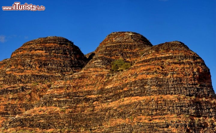 Le antiche arenarie dei Bungle Bungle nel Kimberley. Viste da vicino si notano bene le alternaze di striature arancioni, ricche di minerali di ferro, e le bande scure, dove le rocce più porose vengono ricoperte di colonie di cianobatteri, di colore nero.