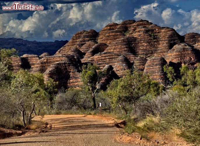 Lungo la strada del Purnululu National Park. Il percorso, che conduce ai Bungle Bungle, permette di amirare i cosiddetti alveari, le formazioni di arenaria a forma di coni o domi, che in linguaggio geologico prendono il nome di Karst