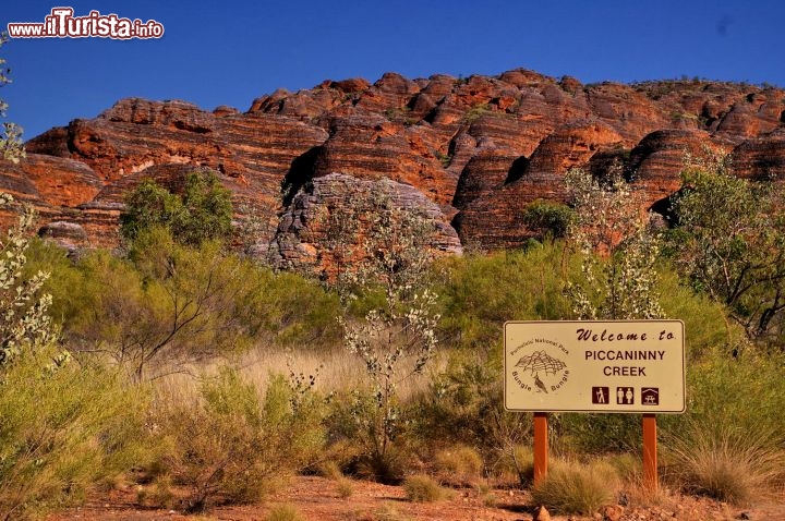 Piccaninny Creek Western Australia Purnululu. E' il trekking più ambito dentro il purnululu National Park, consente di ammirare da vicino le cupole di arenaria che gli australiani chiamano Beehive, gli alveari.