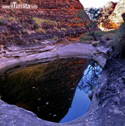 Pozza d'acqua verso Cathedral Gorge. Da queste paerti piove durante il monsone estivo, che va in genere da novembre ad aprile, negli altri mesi gli animali possono abbeverarsi a queste pozze che rimangono nelle zone più riparate tra le rocce.