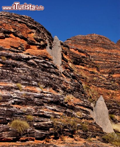 Termitai sulle stratificazioni di Bungle Bungle. i termitai addirittura crescono sulle rocce dei Bungle Bungle, creando pinnacoli o lunghe striature chiare tra le rocce.