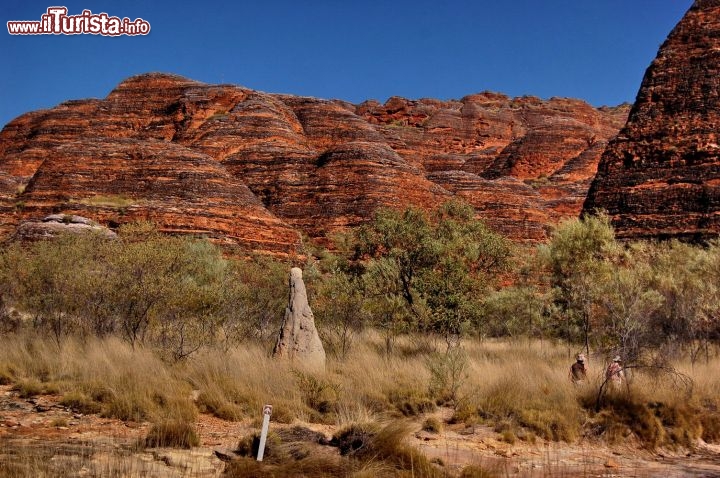 Termitaio e sullo sfondo le rocce di Purnululu. Tra le forme di vita che si incontrano nel parco nazionale, colpiscono i termitati che possono elevarsi di qualche metro in altezza