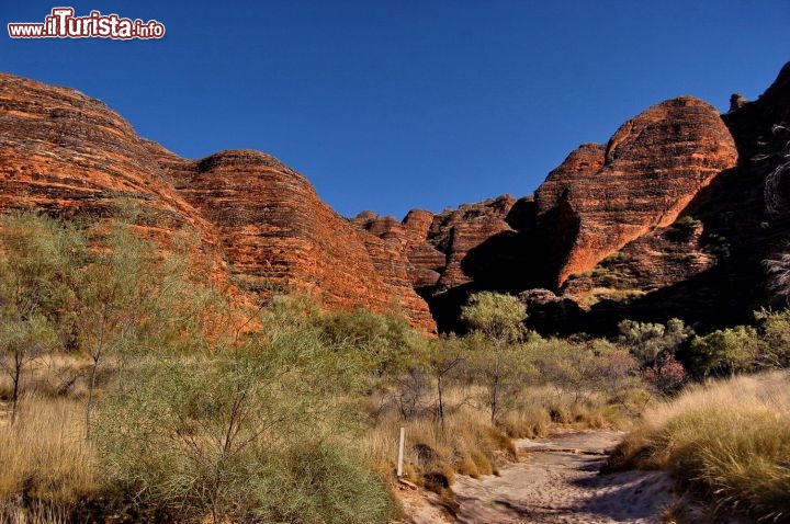 Bungle Bungles Trekking in Western Australia. A piedi si colgono molti dettagli di queste strane rocce a forma di alveare, mentre coni volo si gusta una visione di insieme: le due attività sono complementari.