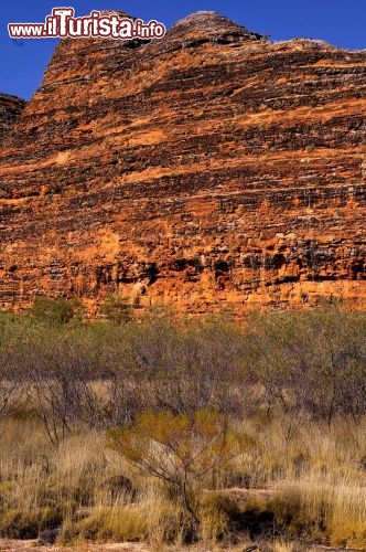Western Australia le arenarie al Purnululu National Park. Lè dove le rocce si presentano più ossidate, i batteri non riescono a colonizzare l'ambiente, e le arenarie rimangono arancioni