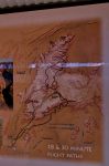La mappa del volo sui Bungle Bungle. Per chi ...