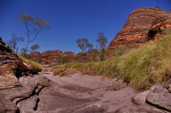 Trekking lungo il Piccaninny Creek a Purnululu. ...