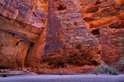 Dentro l'enorme Cathedral Gorge a Purnululu. ...