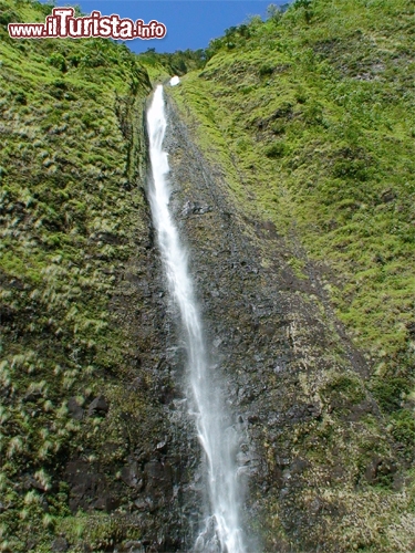 Waihilau Falls, Waihilau Valley, Hawaii - Nel cuore della Waihilau Valley, sulle isole Hawaii, si nasconde una splendida cascata alta 790 metri. La Waihilau Fall è una delle più alte del mondo, anche se superata nelle Hawaii dalle Oloʻupena Falls nell'isola di Molokai e dalle Pu'uka'oku Falls. Dire che “si nasconde” è decisamente appropriato, se si pensa alla vegetazione fitta dell’arcipelago del Pacifico. Qui, nell’estremità nord-orientale di Big Island, il paesaggio è incontaminato e gli unici abitanti sono i fiori esotici, gli uccelli variopinti e numerosi mammiferi. La maggior parte dei turisti alloggia nella vicina valle di Waip'o e raggiunge le cascate a piedi, affrontando un’escursione avventurosa, tra scenari selvaggi e incantevoli allo stesso tempo.