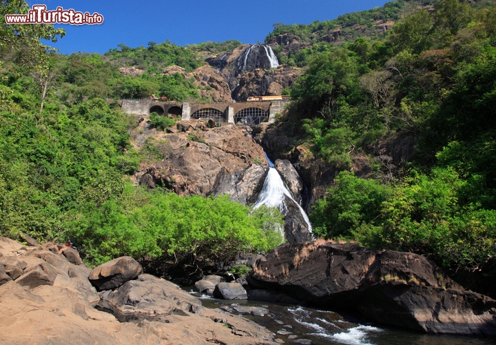 Cascate di Dudhsagar, Goa, India - Le cascate più spettacolari di Goa, nonché le seconde più alte dell’India, si trovano lungo il corso del fiume Mandovi, a una sessantina di chilometri dalla capitale Panaji, nello stato di Goa. Sono le cascate di Dudhsagar, alte più di 600 metri e particolarmente pittoresche in autunno, subito dopo la stagione dei monsoni, quando la portata d’acqua è massima. Il nome significa “mare di latte”, ma al bianco della schiuma che gorgoglia alla base delle cascate si accostano il turchese e il verde smeraldo dell’acqua e della vegetazione. Un primo assaggio lo si ha dal treno che viaggia da Margao a Colem, poiché le rotaie passano proprio sopra il getto d’acqua, per poi continuare con la jeep e percorrere a piedi l’ultimo tratto roccioso fino alla sommità delle cascate.