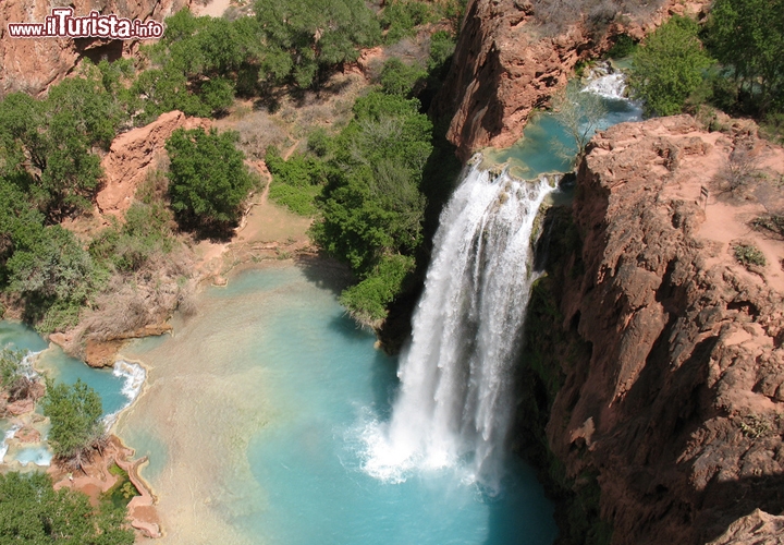 Cascate Havasu Falls, Arizona, USA - Le cascate da sempre nel territorio degli Havasupai, una tribù indiana, sono un vero paradiso sulla Terra. In realtà si tratta di una serie di cascate (5 ma il numero varia con le piene) incredibilmente belle situate in un canyon remoto dell'Arizona. Per raggiungerle bisogna impegnarsi in un discreta camminata, ma la ricompensa della loro vista vale assolutamente la fatica.  La visita delle Havasu Falls inizia a Hualapai Hilltop, circa 160 chilometri dalla cittadina di Seligman, il centro abitato più vicino. Per vederle si deve scendere nel  canyon dell'Havasu Creek e camminare per tre chilometri tra le rocce. Non sono particolarmente alte, ma i colori delle rocce, il verde dei cespugli e il bianco delle concrezioni di travertino, create da queste acque ricche di CO2, rendono particolarmente suggestivo il sito.