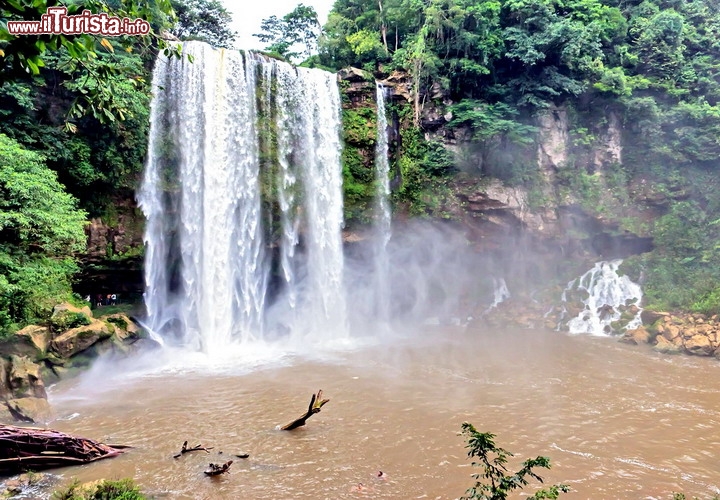 Cascata Misol-Ha stato del Chiapas, Messico - Forse una delle caratteristiche più interessanti di questa spettacolare cascata è la sua vicinanza con il sito archeologico Maya di Palenque, l'attrazione numero uno dello stato del Chiapas in Messico. Le cascate si raggiungono con una escursione di una giornata, che include anche le cateratte di Agua Azul. Magnifica è la cornice di foresta tropicale che avvolge questo sito. Durante la stagione secca la portata della cascata si riduce, ma la pozza assume una più invitante colorazione azzurra. Nell'immagine che vedete, invece, il salto è ripreso in fase di piena, con le acque che quindi trasportano fango minerale, che dona una intensa e particolare colorazione marrone alla pozza in cui si gettano. Ciononostante il luogo è di grande fascino, una specie di Jurrassic Park sperduto nelle foreste del Chiapas - © Vadim Petrakov / Shutterstock.com