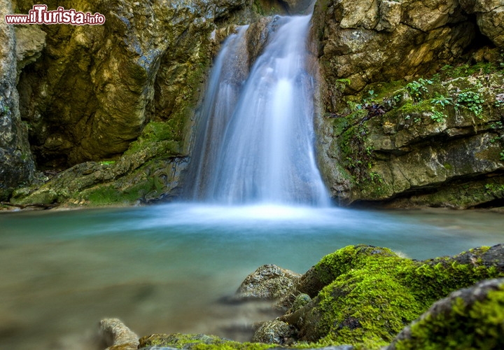 Cascata di Nidri a Lefkada, Grecia - Pensando alle isole della Grecia tutto ci si aspetta fuorchè potersi rinfrescare a fianco di una bella cascata! Succede però nell'interno dell'isola di Lefkada la quarta per dimensioni tra le Isole Ioniche. Rispetto alle "sorelle" dell'Egeo, queste isole lungo la costa ovest della Grecia ricevano un maggiore apporto di piogge, e quindi si spiega una abbondante presenza di acqua, ed una vegetazione più rigogliosa! Le cascate si raggiungono con una bella passeggiata di 6 km in totale, e si trovano alle spalle della cittadina di Nidri. Il percorso tocca il villaggio di Rachi per poi addentrarsi nella spettacolare gola di Dimosari, al termine della quale si raggiungono con un sentiero le cascate, con una bella pozza d'acqua dove rinfrescarsi circondati da una magnifica cornice di verde  - © Netfalls - Remy Musser / Shutterstock.com