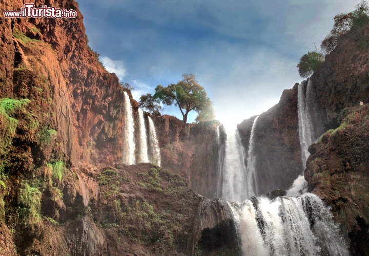 Cascate di Ouzoud, vicino a  Beni Mellal, Marocco  - Dalle pendici dell'Atlante, la grande catena montusa che si estende dal Marocco alla Tunisia, e supera i 4.000 netri di quota, il fiume oued Ouzoud si getta verso l'Atlantico con un doppio salto, che complessivamente raggiunge i 110 metri di altezza. Può essere ammirato dal basso grazie ad un sentiero che attraversa un oliveto, oppure se vi recate nella parte alta potete vedere alcuni mulini ad acqua, ancora in funzione. Per vedere le cascate, che distano 120 km da Beni Mellal, al massimo della loro portata il periodo migliore per vedere le Cascades d'Ouzoud è la primavera, al termine delle piogge invernali, e quando le nevi delle montagne dell'Atlante inziano a fondersi - © ollyy / Shutterstock.com