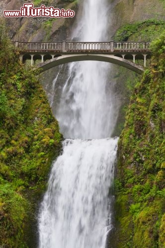 Cascate Multnomah, Oregon - Si trovano all'interno del canyon formato dal Columbia River, e sono le cascate più alte dell'Oregon. Sono anche tra le più alte cascate degli Stati Uniti continentali, se però consideriamo quelle permanenti, e cioè presenti ad ogni stagione, 365 giorni all'anno. Altrimenti ci sono varie cascate stagionali, specie in California, decisamente più alte. Complessivamente il salto si getta per 189 metri, in realtà suddiviso in due cascate distinte, le Upper Falls, quelle pià alte con un tuffo di 165 m e le Lower Falls di appena 21 m, le due unite da dalle rapide con dislivello di circa 3 metri di quota. Le cascate sono famose anche grazie al Benson Footbridge, una passerella pedonale molto panoramica, posta sopra al salto minore, da cui si gode di una vista mozzafiato.