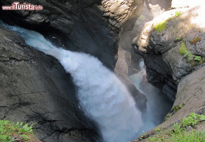 Cascate Trümmelbach, Svizzera - I tempi dell'erosione sono lunghi, e non si può esattamente dire che le cascate di Trümmelbach abbiano "i minuti contati", ma a detta dei geologi si stanno a poco a poco consumando. Eppure sembrano godere di buona salute queste spettacolari cascate della Svizzera: dieci getti fragorosi di origine glaciale che non scrosciano a cielo aperto ma all'interno della montagna, e ogni anno erodono oltre 20 mila tonnellate di roccia. I soldi del biglietto d'ingresso sono ben spesi: le grotte - con il rimbombo dell'acqua in caduta libera, la frescura della roccia e i riflessi iridescenti del vapore nell'aria - sono un intreccio emozionante di cunicoli, in cui ci si sente piccoli e indifesi. Chi visita l'interno delle cascate spia una potenza segreta: da fuori, tra i pascoli vellutati della Valle di Lauterbrunnen, le Trümmelbach Falls sembrano un placido torrente come tanti. Maggiori informazioni: www.truemmelbachfaelle.ch