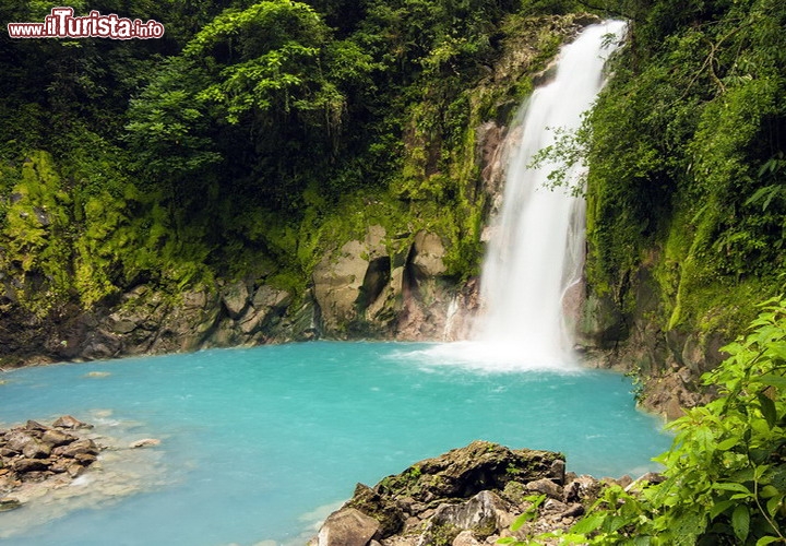 Cascata del Rio Celeste, Costa Rica - Questa splendida caduta si trova vicino ad uno dei vulcani più attivi dell'America centro-meridionale, l'Arenal. Il Costa Rica è uno degli stati più protetti del mondo, e in questo caso il percorso del Rio Celeste si snoda all'interno del Tenorio Volcano National Park. La sospensione di minerali molto fini, assieme alle venute di sorgenti termali, conferiscono alle acque una calda tinta pastello, cerulea, fedele quindi al nome del fiume. Il tutto viene incorniciato dal verde della lussureggiante vegetazione tropicale. La cascata richiede una passeggiata di circa 1 ora nella foresta pluviale, tra un tripudio di farfalle, rane dai colori più strani e accompagnati dagli schiamazzi delle scimmie  - © billberryphotography / iStockphoto LP