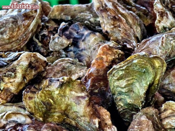 Ostriche di Marennes: questi pregiati molluschi sono la ricchezza economica di questa cittadina del Poitou-Charentes. Vengono coltivate in una zona a sud della città, in tratto di costa bassa particolarmente adatta allo scopo,  considerata l'area più estesa per la produzione di ostriche di tutta Europa. Vengono prodotte oltre 50.000 tonnellate di ostriche ogni anno