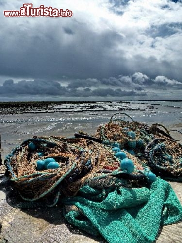 Reti nel porto di Marennes, la città delle ostriche: la coltivazione di questo mollusco è l'attività principale di questa regione del Poitou-Charentes, ed in particolare,  nel tratto di mare tra Marennes e Ile d'Oleron