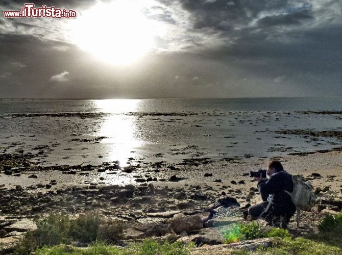 Saint Trojan-les-Bains: La costa su dell'Ile de Oleron, si presta a spettacolari fotografie, specialmente durante le fasi di bassa marea, che si presentano ogni 12 ore circa. Qui una vista all'alba, verso oriente.