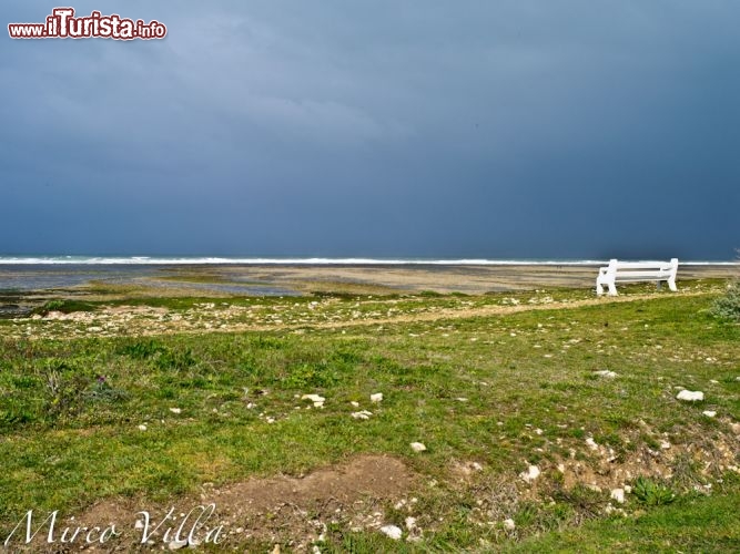 Ile d'Oleron, le panchine vista oceano: sulla costa orientale di questa grande isola, è possibile contemplare il mare seduti in queste romantiche panchiene, ideali per ammirare l'alba.