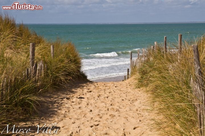 Ile d'Oleron, la baia e la spiaggia della Perroche: questa magnifica ansa si trova sulla costa occidentale dell'isola di Oleron. Le sabbie dorate sono bagnate da un mare pulito