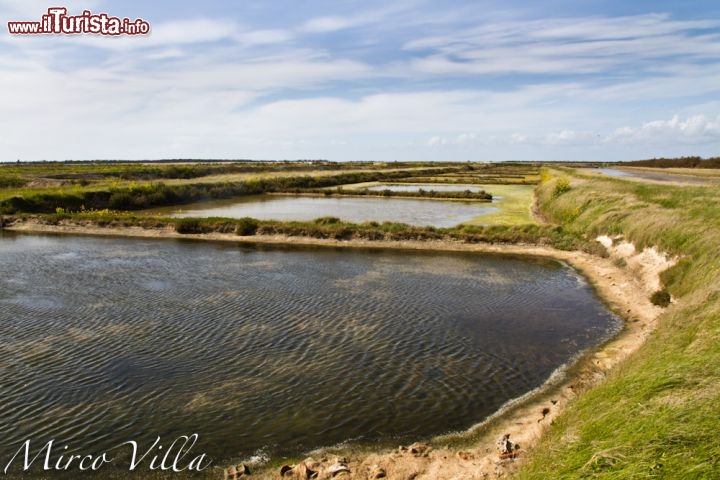 La Riserva Lilleau des Nige, i bacini dell'Ile de Re: questa riserva naturale è un ottimo luogo dove fare birdwatching, da qui transitano molte specie migratorie, in vari periodi dell'anno