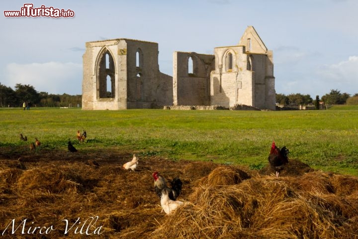 Ile de re, i resti di una chiesa medievale: non distante da Saint-Martin-en-Ré troviamo questa affascinanate rovina, che domina il paesaggio dalla cima di una collina. Fu costruita nell'11° secolo, ma subì le varie vicissitudini storiche dell'isola, dalle Guerre di Religione alla Rivoluzione Francese, ed oggi non rimangano che le sole mura perimetrali.