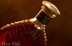 Una bottiglia di Cognac nella distilleria Camus ...