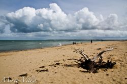 Ile de Re, la spiaggia Pointe du Fier: la costa ...