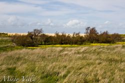 Reserve Naturelle Lilleau des Niges, Ile de re: ...