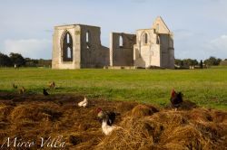 Ile de re, i resti di una chiesa medievale: non ...