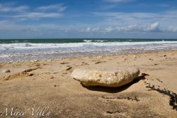 Una spiaggia sull'Isola del Ré: la ...