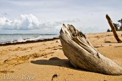 La Plage Fier d'Ars, Ile de Ré: ...