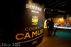 Tour in distilleria, il cognac Camus: una delle ...