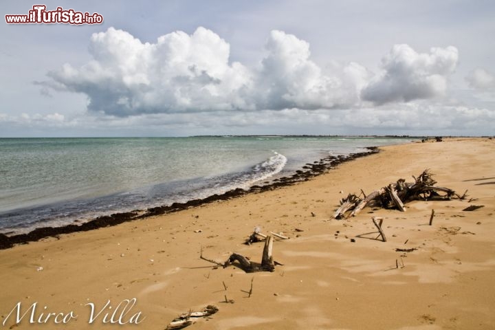 Spiaggia pointe du fier d'Ars: un ambiente naturale spettacolare, chilometri di sabbie in cui, ad ogni passo, si scopre un dettaglio, un particolare, una conchiglia degna di uno scatto fotografico.