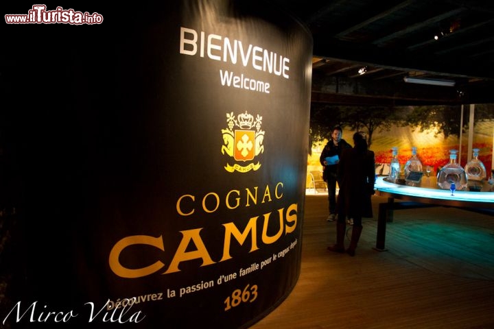 Tour in distilleria, il cognac Camus: una delle attività più piacevoli che si posono compiere nel Poitou-Charentes  è visitare una fabbrica di produzione del cognac, uno dei proddotti più rinomati della regione. La Distilleria della famiglia Camus è tra le più famose, e offre dei tour dentro gli stabilimenti, con degustazioni.