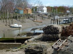 Bassa marea nel canale di Marennes: ci troviamo ...