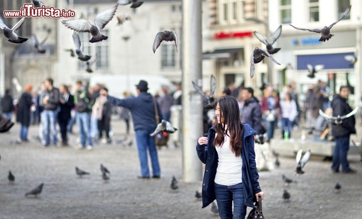 Immagine Amsterdam Piazza Dam shopping